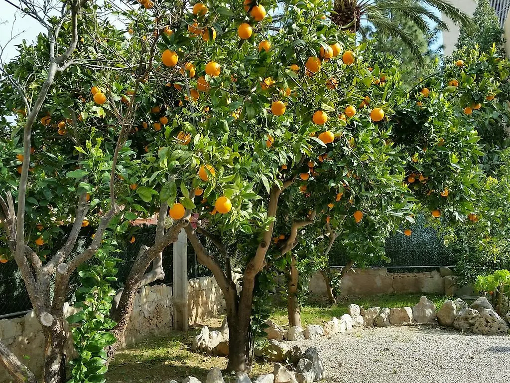 Guest house Flor Amistad Peguera Spain